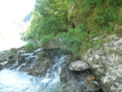 White Water Rafting57